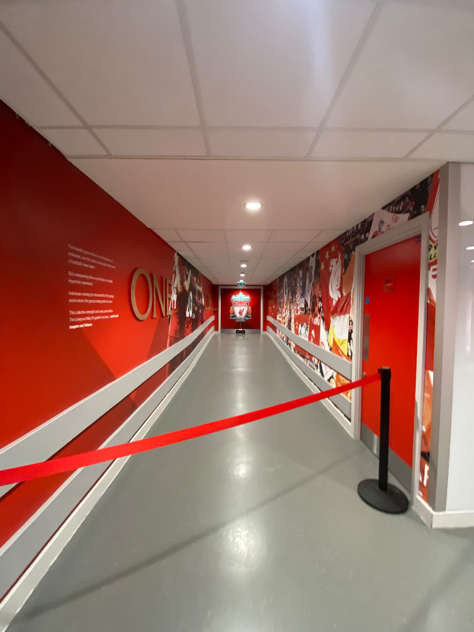 Imagen del estadio